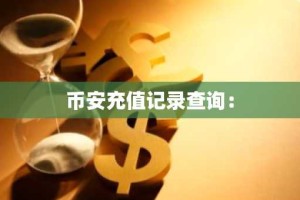 币安充值记录查询：