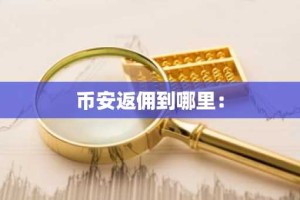 币安返佣到哪里：