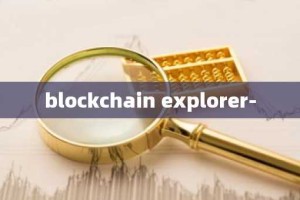 blockchain explorer-