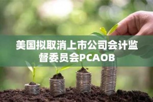 美国拟取消上市公司会计监督委员会PCAOB