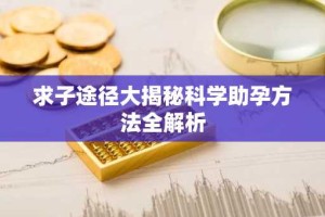 求子途径大揭秘科学助孕方法全解析