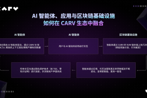 maga币牛市会涨到多少
