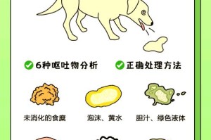 比特犬在家吐什么原因及处理方法