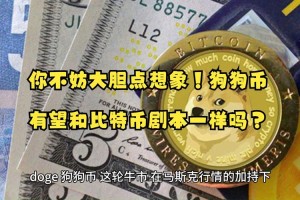 狗狗币打赏应用-狗狗币 打赏