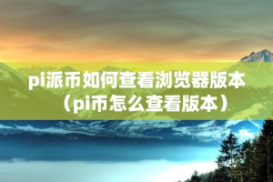 pi派币如何查看浏览器版本（pi币怎么查看版本）
