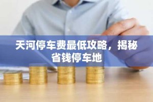 天河停车费最低攻略，揭秘省钱停车地