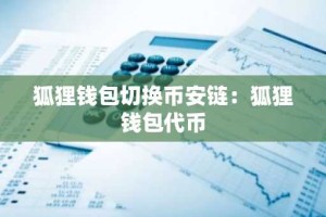 狐狸钱包切换币安链：狐狸钱包代币