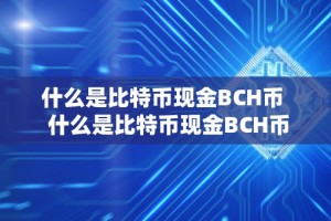 什么是比特币现金BCH币 什么是比特币现金BCH币及什么是比特币现金bch币交易