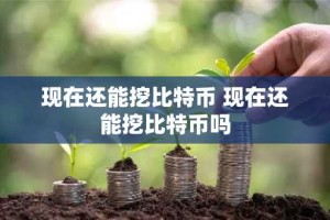 现在还能挖比特币 现在还能挖比特币吗