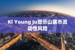 Ki Young Ju警示山寨币流动性风险