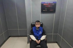 警方辟谣淋巴肉包子致87名学生中毒_警方辟谣淋巴肉包子致87名学生中毒：系AI软件编造