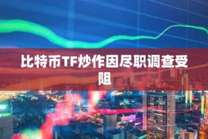 比特币TF炒作因尽职调查受阻