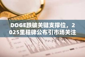DOGE跌破关键支撑位，2025里程碑公布引市场关注