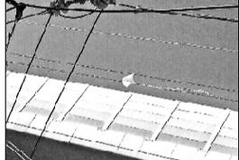 风筝挂接触网致列车临时停车十余分钟_风筝挂接触网 致京津城际列车晚点