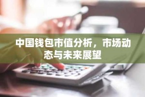 中国钱包市值分析，市场动态与未来展望