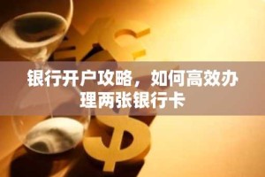 银行开户攻略，如何高效办理两张银行卡