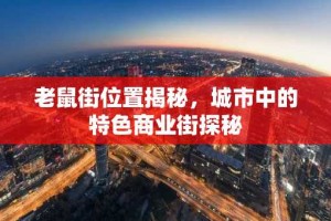 老鼠街位置揭秘，城市中的特色商业街探秘