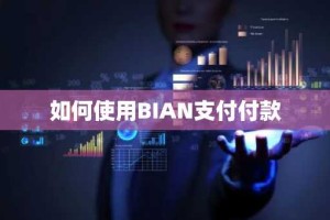 如何使用BIAN支付付款