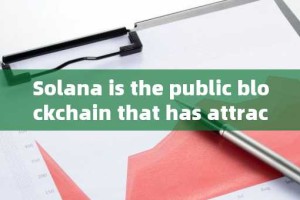 Solana is the public blockchain that has attracted the most new developers this year; More than half