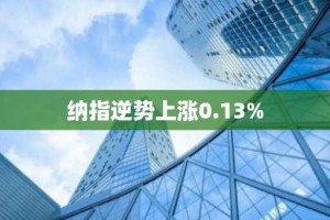 纳指逆势上涨0.13%