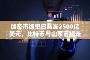 加密市场单日蒸发2500亿美元，比特币与山寨币将走向何方？
