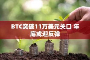 BTC突破11万美元关口 年底或迎反弹