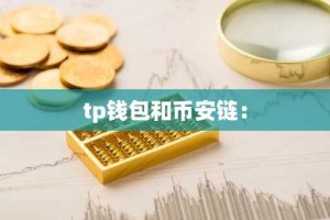 tp钱包和币安链：