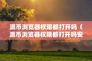 派币浏览器权限都打开吗（派币浏览器权限都打开吗安全吗）