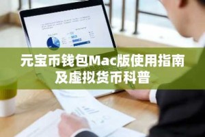 元宝币钱包Mac版使用指南及虚拟货币科普