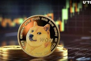 狗狗币钱包同步攻略，快速高效管理加密资产