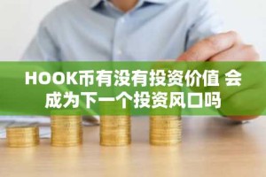 HOOK币有没有投资价值 会成为下一个投资风口吗