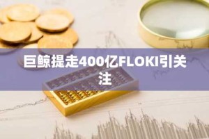 巨鲸提走400亿FLOKI引关注