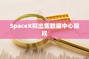 SpaceX拟出售数据中心股权