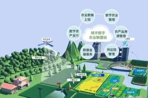 GBC数字平台，揭秘全球区块链商业生态圈