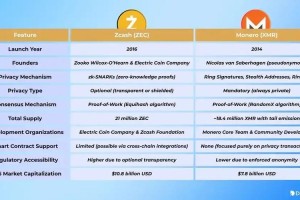 Zcash潜在问题与挑战分析