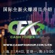 cfx币支持什么钱包：cfx币用什么钱包