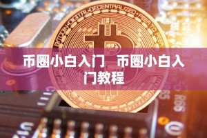 币圈小白入门 币圈小白入门教程