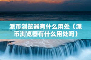 派币浏览器有什么用处（派币浏览器有什么用处吗）