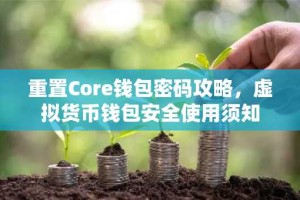 重置Core钱包密码攻略，虚拟货币钱包安全使用须知
