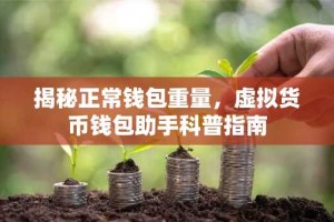 揭秘正常钱包重量，虚拟货币钱包助手科普指南