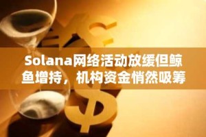 Solana网络活动放缓但鲸鱼增持，机构资金悄然吸筹