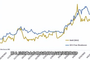 VIP币实时行情分析，涨跌走势与市场预测