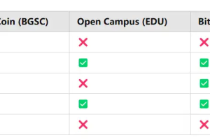BugsCoin (BGSC)：深入探索去中心化教育赛道