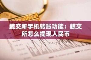鲸交所手机转账功能：鲸交所怎么提现人民币