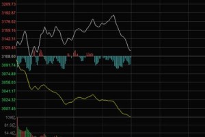 香港莱特币交易所：