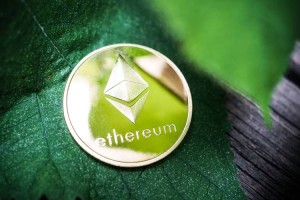 以太访钱包有哪些：以太访币