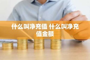 什么叫净充值 什么叫净充值金额