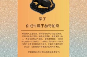 badger用什么钱包挖矿：badger币怎么挖矿