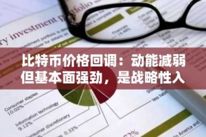 比特币价格回调：动能减弱但基本面强劲，是战略性入场点