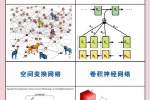 PPLNS算法详解，原理、应用与优势分析